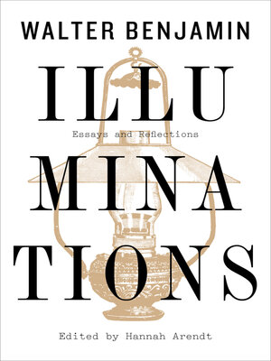 cover image of Illuminations